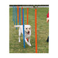 Trixie Agility Slalom